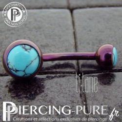 Piercing Titane interne Eggplant et Turquoises