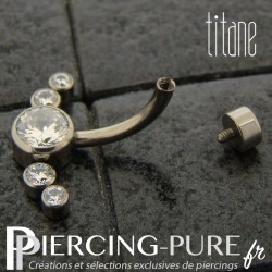 Piercing nombril Titane avec 6 cristaux ronds blancs