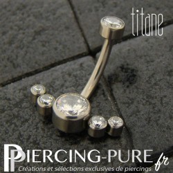 Piercing nombril Titane avec 6 cristaux ronds blancs
