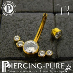 Piercing nombril Titane doré 6 cristaux clos blancs