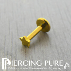 Piercing titane étoile dorée