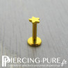 Piercing titane étoile dorée